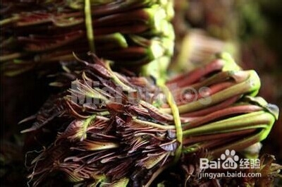 对女人有益的五种怪味食物