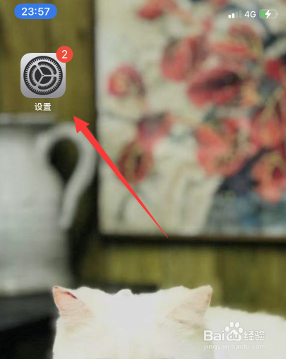 苹果手机怎么停止微信使用流量