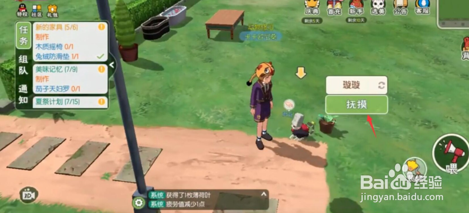 小森生活怎么养猫