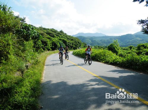 杨梅坑踩单车、西冲海滨风情一天欢乐游