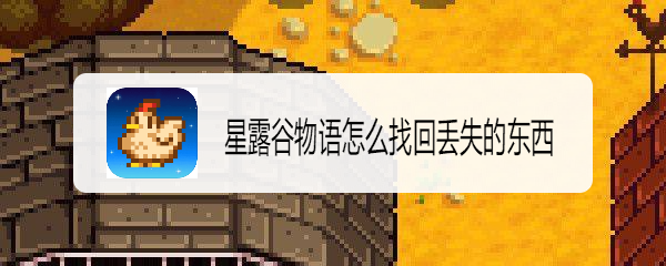 星露谷物语怎么找回丢失的东西
