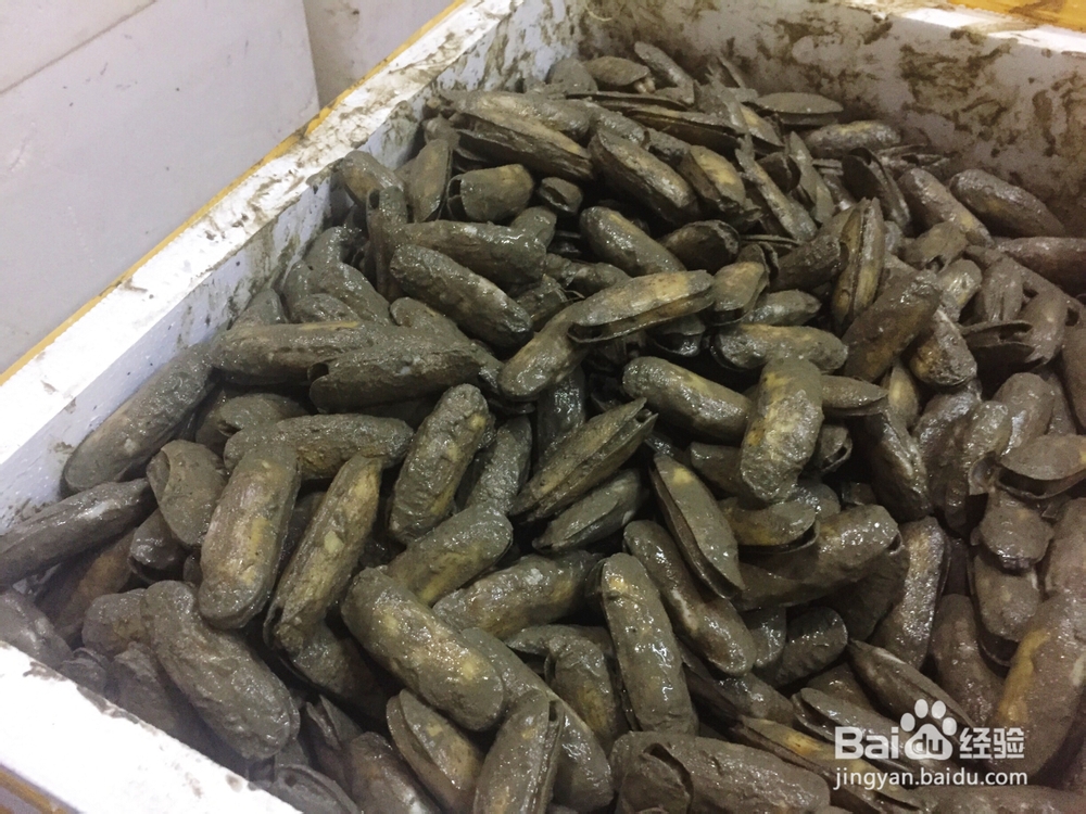 海鲜教程之仔姜尖椒炒蛏子的做法