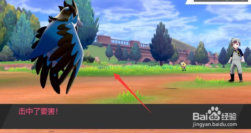 尼多王怎么进化