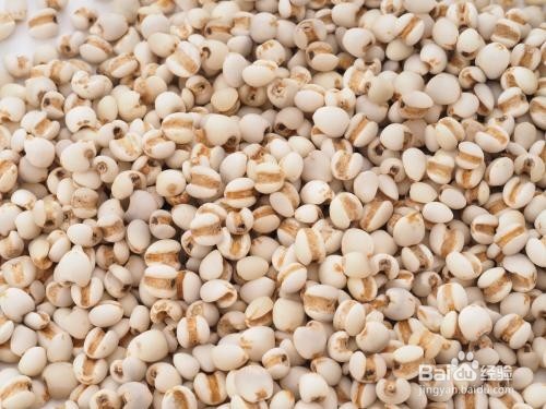 祛湿用薏米的吃法