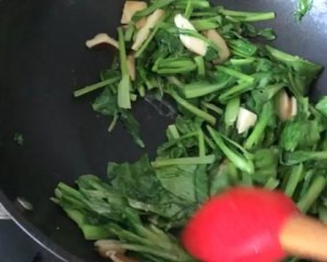 猪肚菌炒鸡毛菜