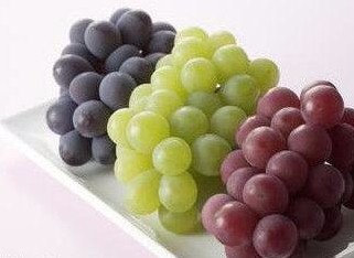 水果有那些品种