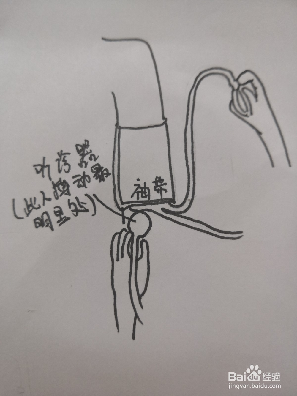 护理操作：血压测量法