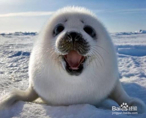 怎样用血常规检测仪