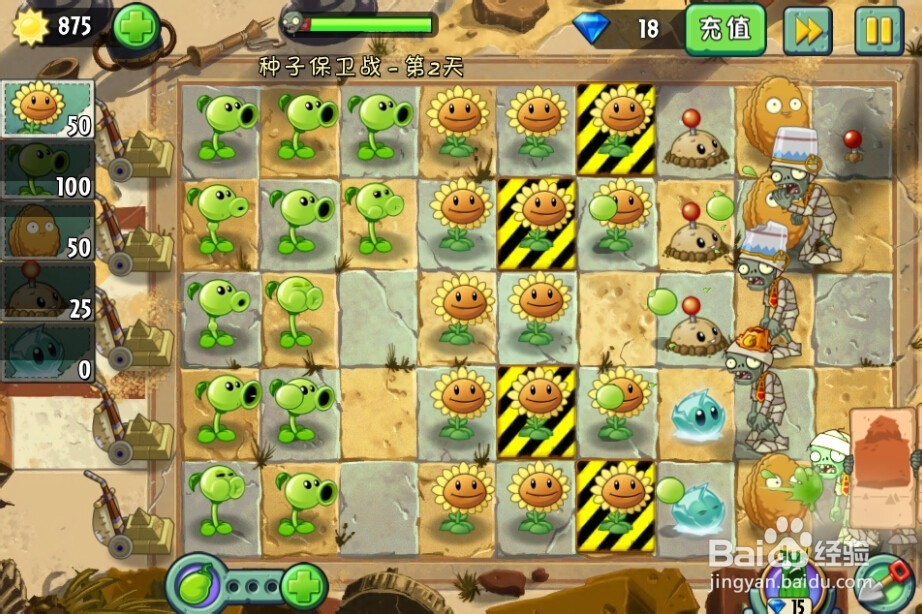 植物大战僵尸2：第2天的种子保卫战
