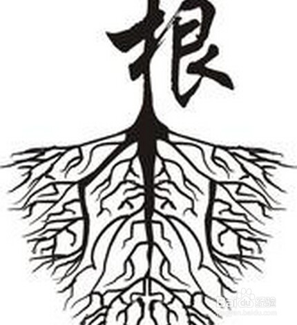 工作中性格内向怎么办