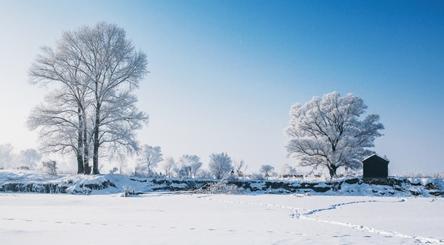 白雪一落,他们便什么写句子