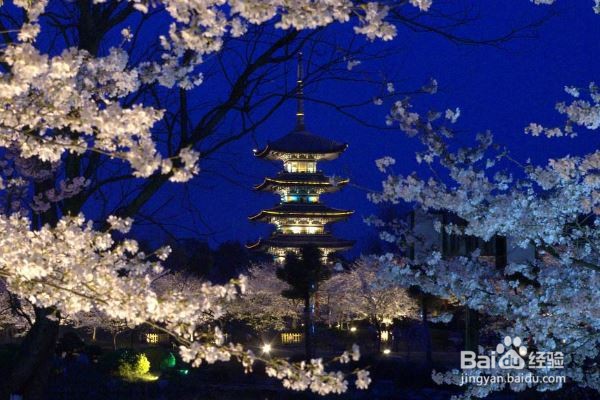 五一假期去哪儿玩