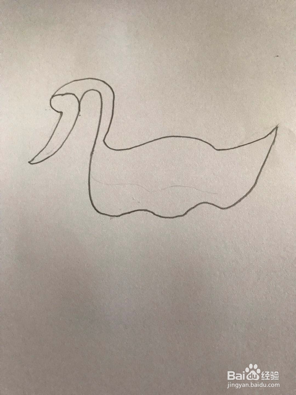 小天鹅的简笔画的画法