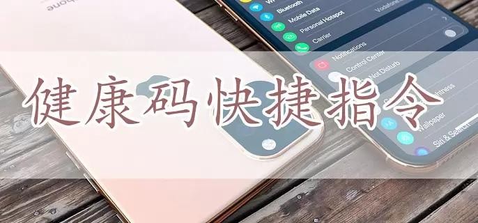 健康码快捷指令是什么