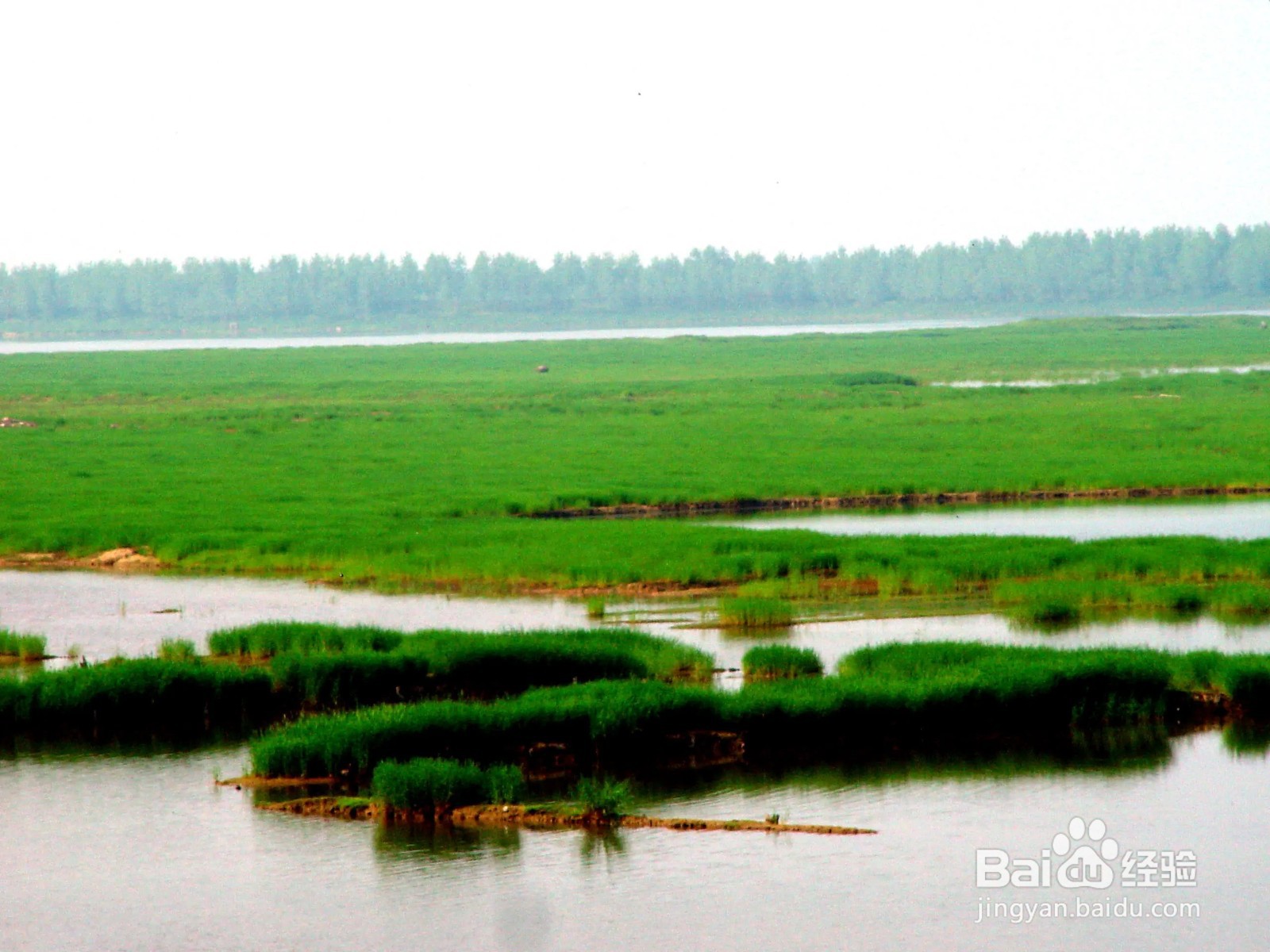 蚂蚁庄园孟浩然气蒸云梦泽形容的是以下哪个湖泊