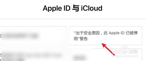 苹果AIPAIAIDID密码忘了怎么办