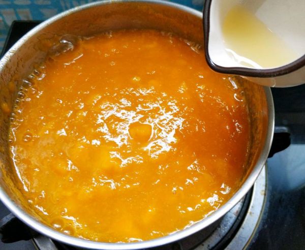 夏日甜蜜滋味—芒果酱