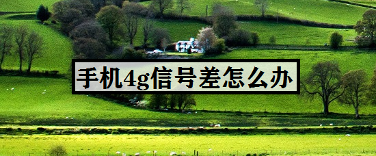 手机4g信号差怎么办