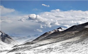 三七粉多少钱一斤，点击查看三七粉价格