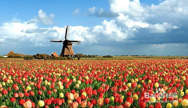 西班牙留学必做的十件事