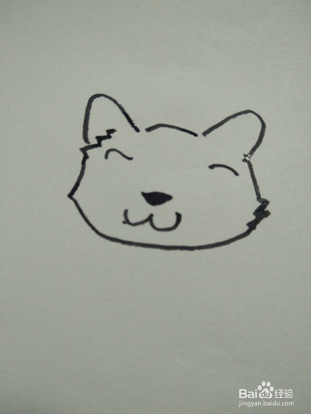 猫的简笔画法8