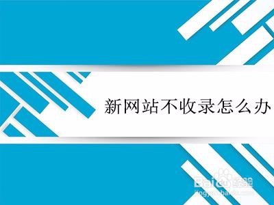 网站快速被蜘蛛抓取方法