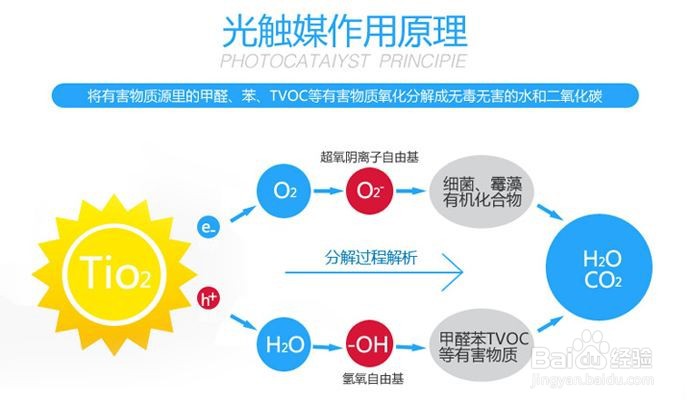 除甲醛产品哪个好