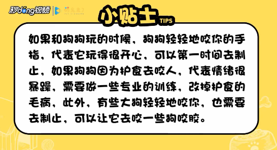 狗狗喜欢咬人怎么办