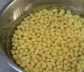 原汁机版家常豆腐