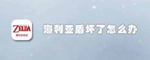 海利亚盾坏了怎么办