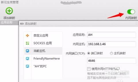 花生壳动态域名内网怎么用