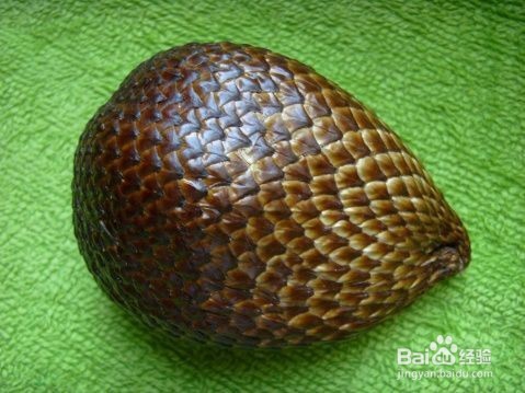 春天的8种营养果