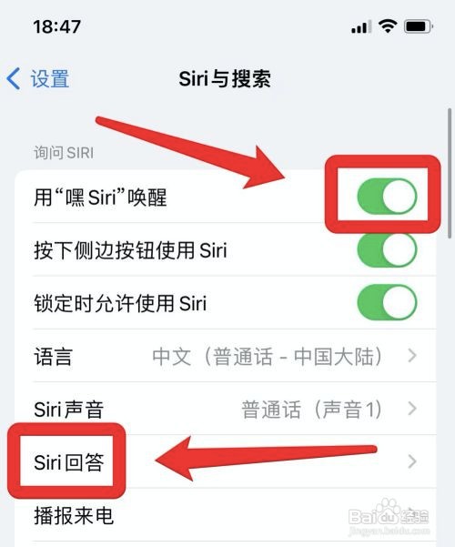 如何跟苹果手机siri聊天