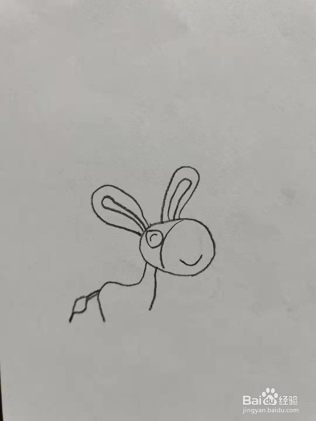 可爱的毛驴怎么画