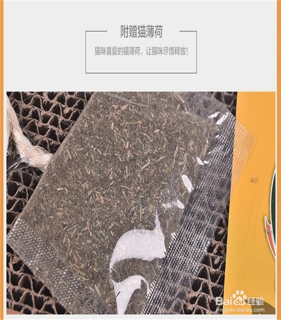如何选购猫用跷跷板