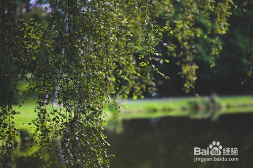 同学爸爸去世了怎么发短信安慰