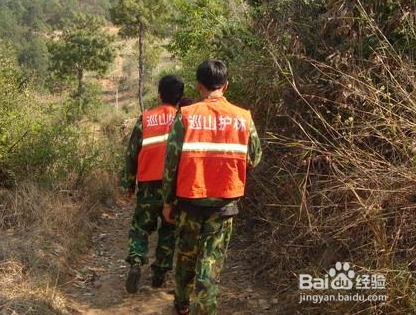 怎样才能抓好搞好护林防火