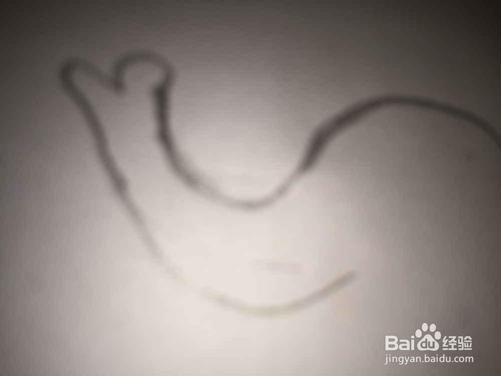 画画——画大象