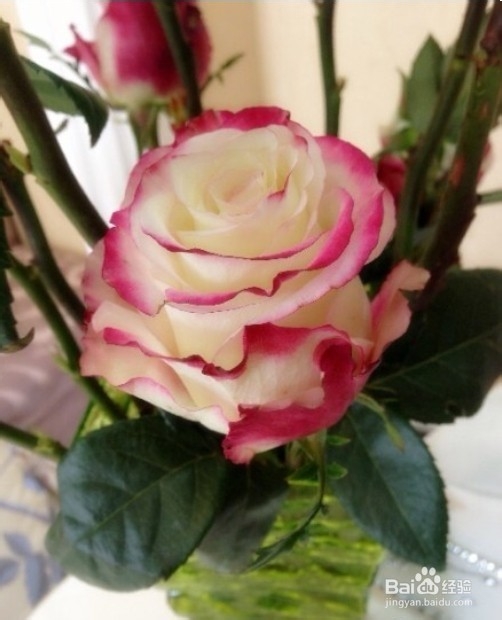 女生过生日最希望收到什么礼物