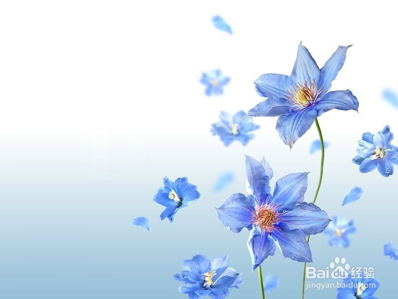 10种心理暗示让你找回快乐