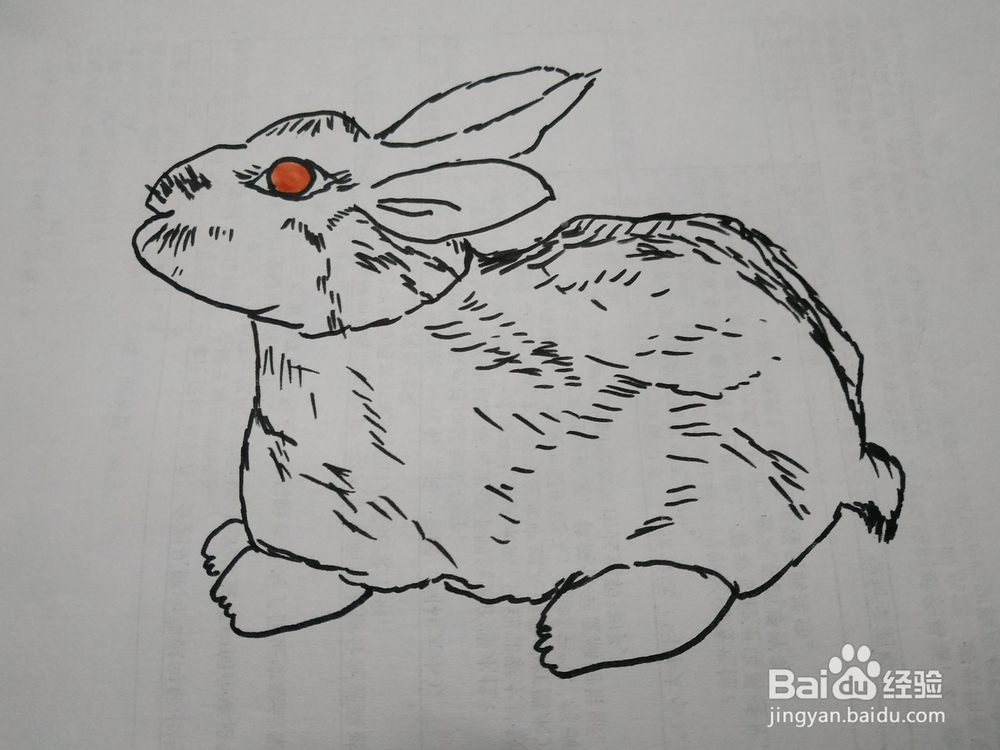 <b>如何画简笔画兔子</b>