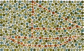 教你如何学开车：[2]身体条件