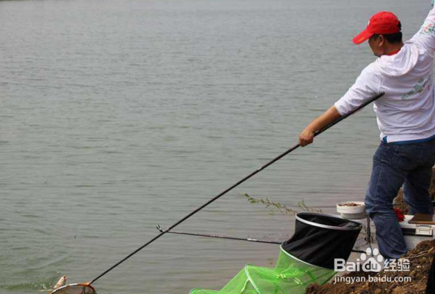 钓鱼哪个环结最重要？钓鱼饵料渔具线组窝料