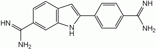 如何做出一张好的免疫荧光片子（很详细）
