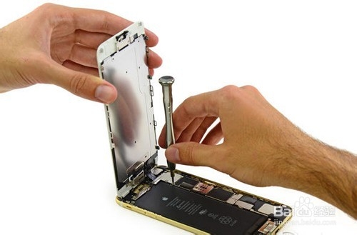 江湖百晓生：iPhone 6和iPhone 6 Plus有何不同