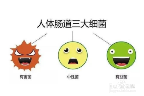 什么情况下宝宝补充益生菌较好?