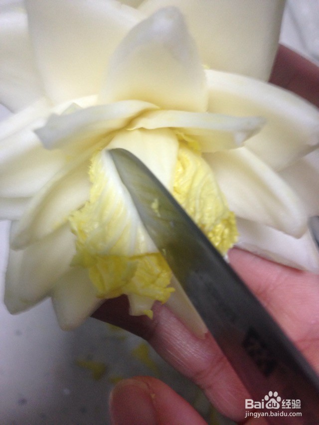 白莲花的做法