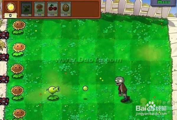 《植物大战僵尸》第一大关详细流程攻略