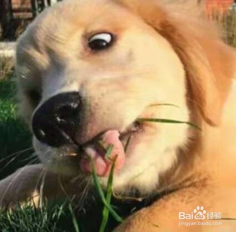 微信怎么建群啊