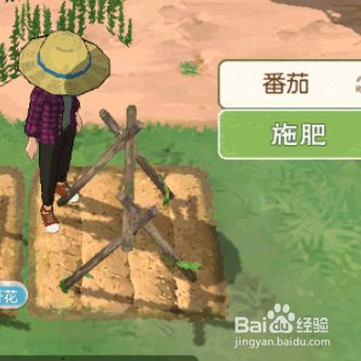 小森林生活如何获得番茄